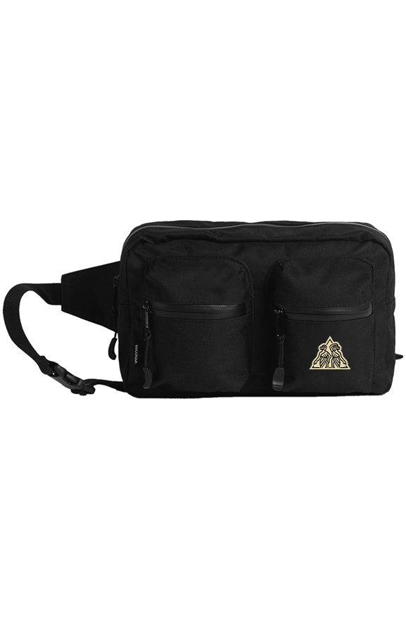 Astor 400 Concert Bag